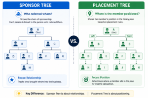 Anatomy of an MLM Business Rule